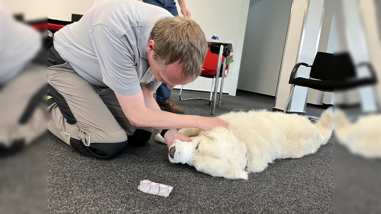 Im neuen Kurs der Johanniter lernen die Teilnehmenden, wie sie ihrem tierischen Gefährten in Notsituationen kompetent helfen können. (Foto: Johanniter Lippe-Höxter)