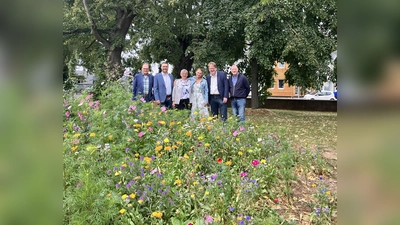 (v.l.) Jürgen Düster, Fachdienstleitung LandschaftspflegeLandkreis Kassel, Torben Busse, Bürgermeister von Hofgeismar, Vanessa Quiatkowski, Mitinitiatorin des Projektes, Dr. Julia Rosa-Schleich, Projektleiterin, Umweltdezernent Thomas Ackermann, und Martin Geldmacher, Fachbereichsleiter Landwirtschaft Landkreis Kassel. (Foto: Julia Sürder)