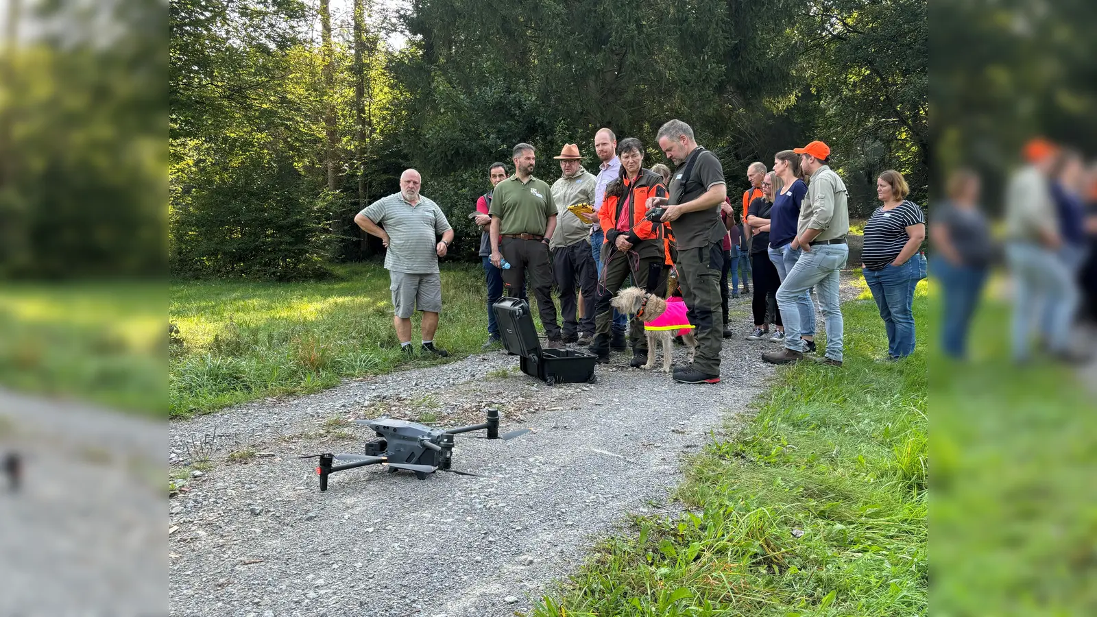 Auf einer Lichtung im Reinhardswald: Eine Drohne sowie speziell ausgebildete Suchhunde mussten die ausgelegten Wildschweinkadaver im Rahmen eines Übungstages zur Afrikanischen Schweinepest finden.  (Foto: Landkreis Kassel)